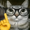 🐈‍⬛🐱🧶 GATOS | CATS 2 🧶🐱🐈‍⬛ 7