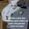 O foda e que das minhas sete vidas, eu jurei oito passar com ela man