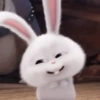 Bad bunny 🐰 17