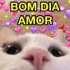 BOM DIA AMOR