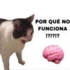 POR QUÉ NO
FUNCIONA
!?!?!?
m