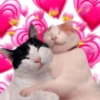 💞💖 AMOR 4 💖💞 15
