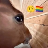 Reações + cavalos 🐎 7