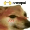 semnpai