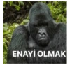 Goril goril 13