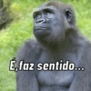 E faz sentido...