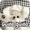 Reacciones Perritos coquetos 🐶 10