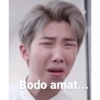 Bodo amat...