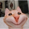 嚼