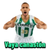 COUSUR 33 Vaya canastón