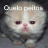 Quelo peitos