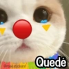 Quedé