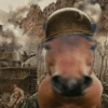 Reações + cavalos 🐎 29