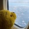 🧸🍯 Winnie Pooh Mood 🍯🐝 6