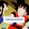 FLERTA DE VOLTA CACETE