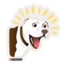 PURINA il 100 !!