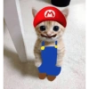 Gatito 13