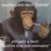 nacido para decir "holiiiiiii" memesenlosgenes obligado a decir: "Buenos días mis estimados"