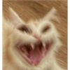 Cat kucing meme 11