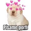 Písame porfi