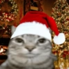 Gato Festivo