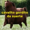 Reações + cavalos 🐎 13