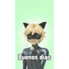 Buenos dias