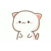 Kitten 8