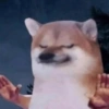Zen Dog