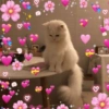Me enamoré con corazoncitos💕✨ 12