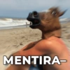 Reações + cavalos 🐎 10