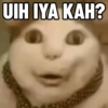 Top Kucing Plenger Meme 11