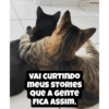 Fofoca? Aceito. 10
