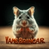 VANSBRINCAR