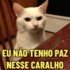 EU NÃO TENHO PAZ NESSE CARALHO