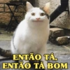ENTÃO TÁ ENTÃO TÁ BOM