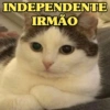 INDEPENDENTE IRMÃO