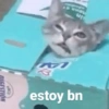sin Mona st 3 estoy bn ESTION