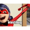 elastibug
