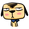 Kopi the dog 5
