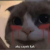 Smile cat ~ 18