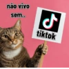 Melhores figurinhas 21