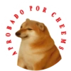 PERRITO CM 1 5