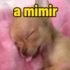 a mimir