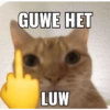 GUWE HET LUW