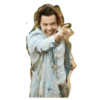 Harry Styles 12
