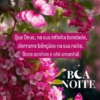 Boa noite 97 24
