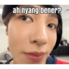 Stiker meme cortis 13