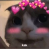 Smile cat ~ 6
