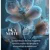 Boa noite 97 8